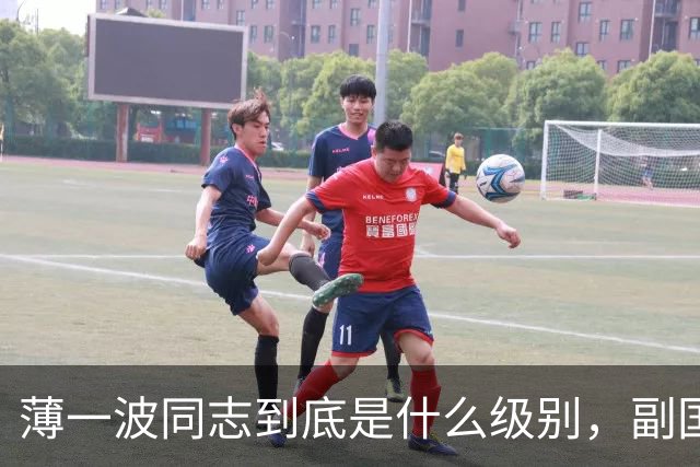 薄一波同志到底是什么级别，副国级？还是正国级？